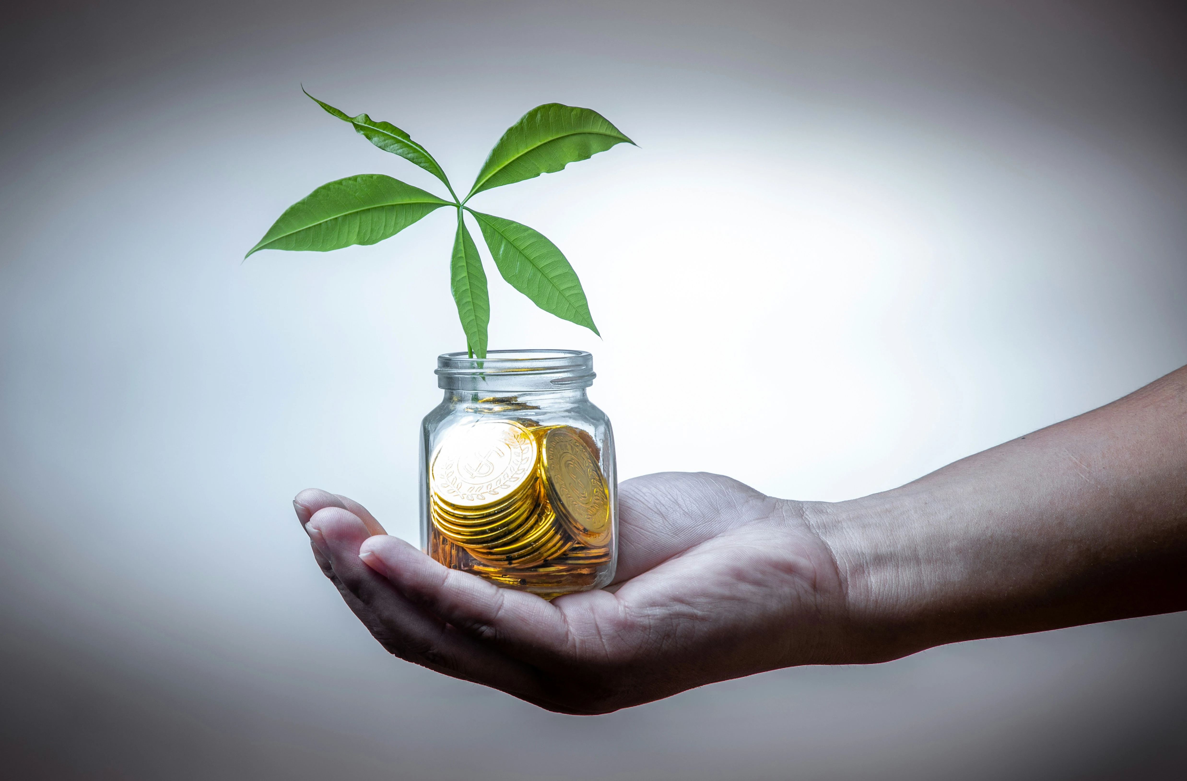 How Eco-Friendly Initiatives Can Drive Long-Term Profitability for Companies